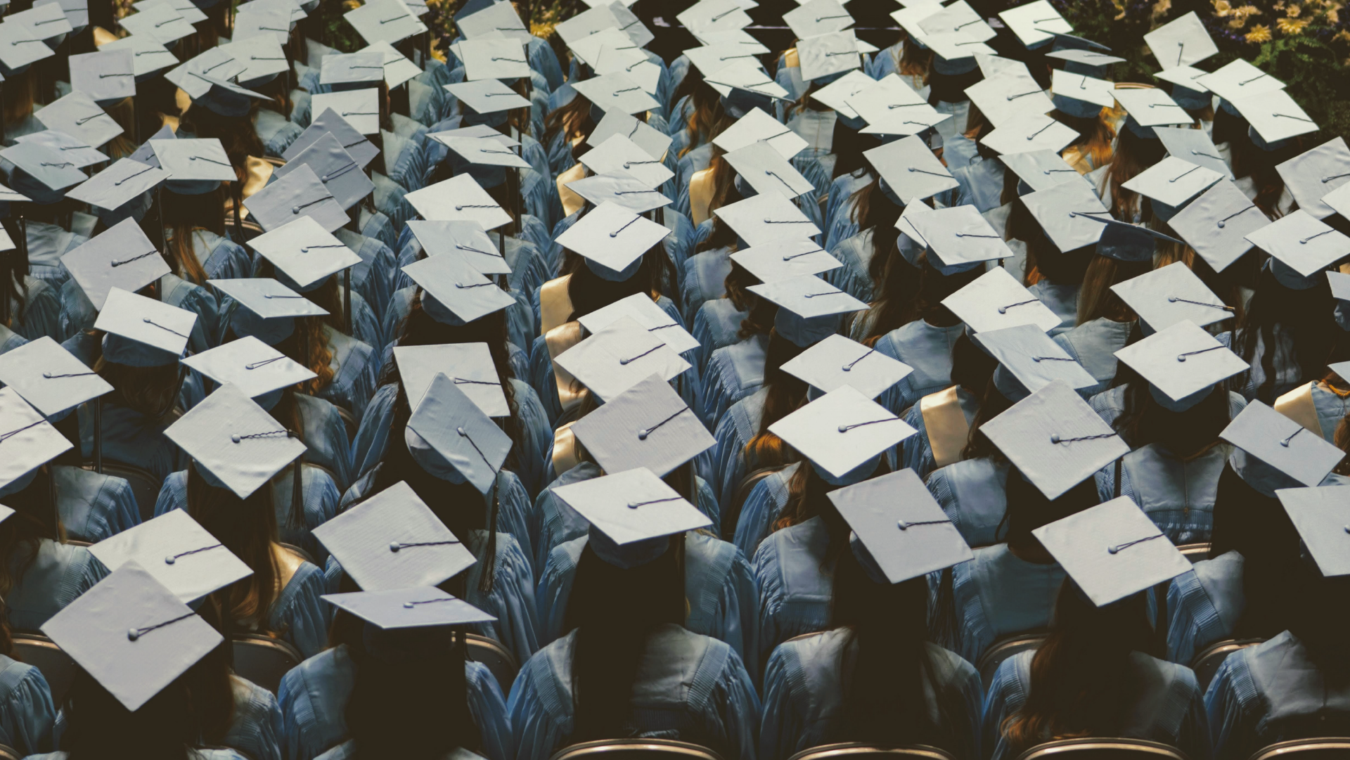 Graduation hats education teaching for change, image by Joshua Hoehne on Unsplash