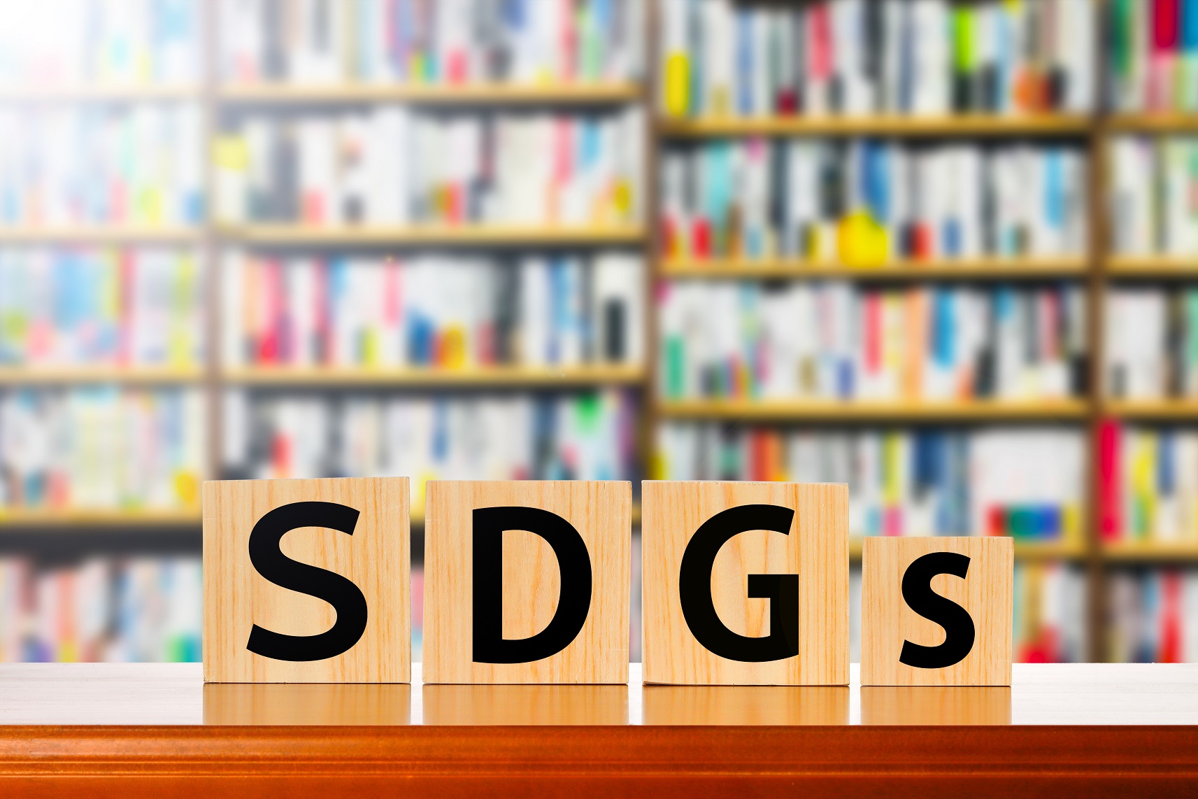 Find library resources on sustainable development